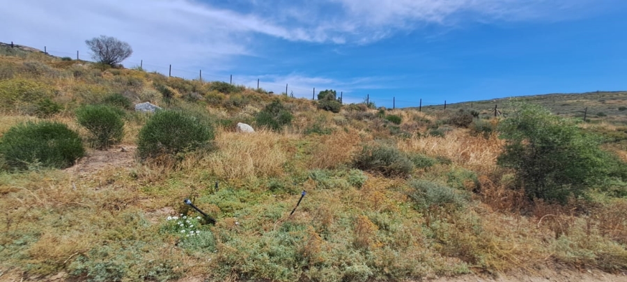 0 Bedroom Property for Sale in St Helena Views Western Cape